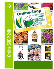 Online-Shop